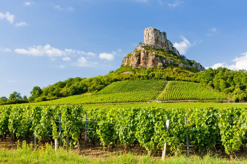 Clos de Chevigne