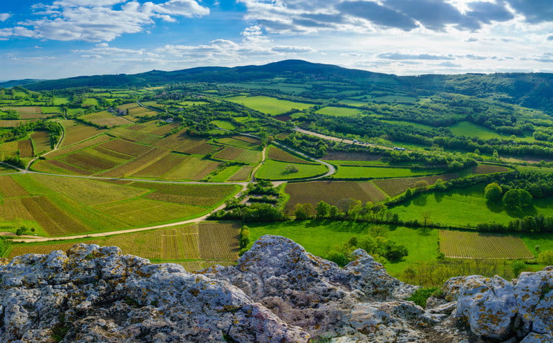 Clos de Chevigne
